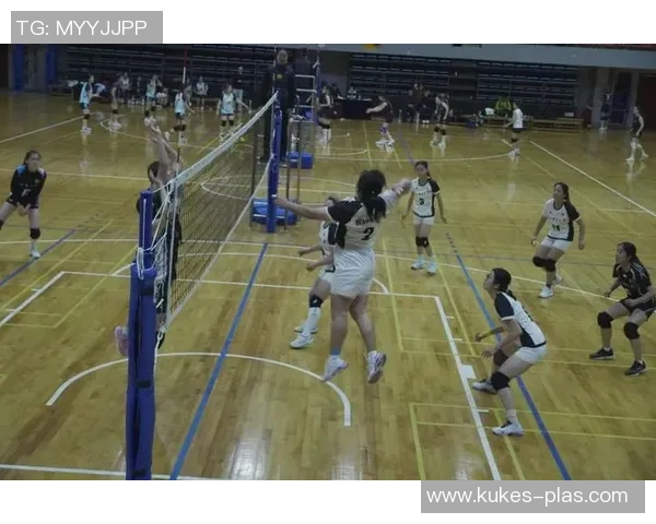 杭州排球队的团队协作之道：如何在排球赛场上实现默契与胜利